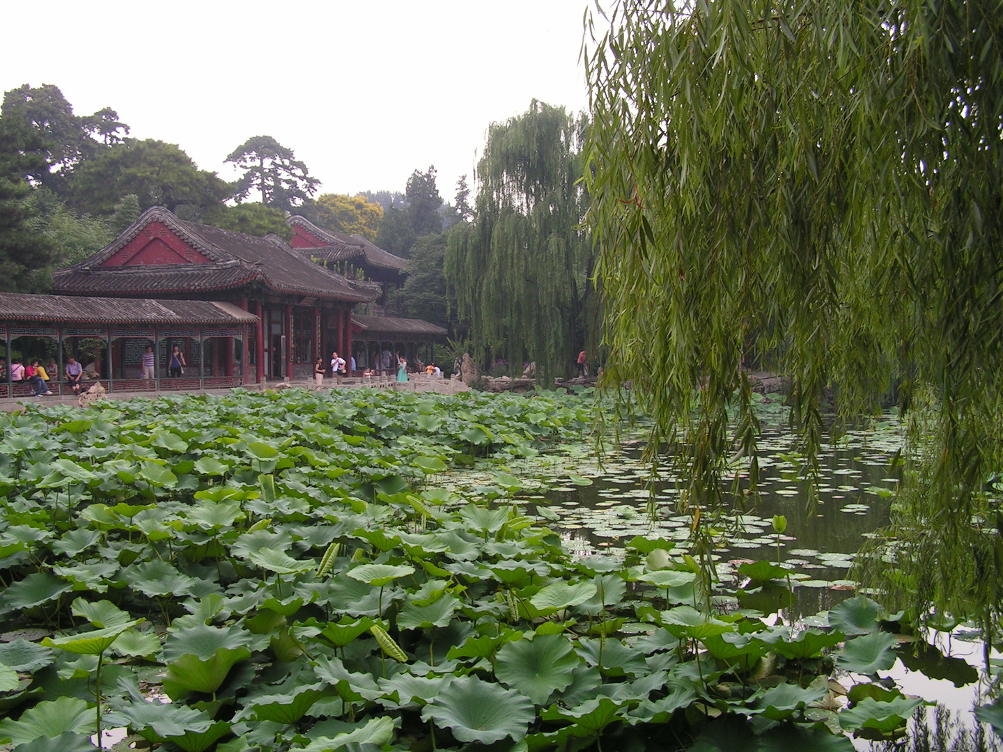 Beijing_20060724_024.jpg